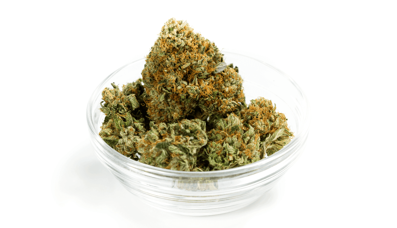 Cannabisblüten in einer kleinen Glasschale